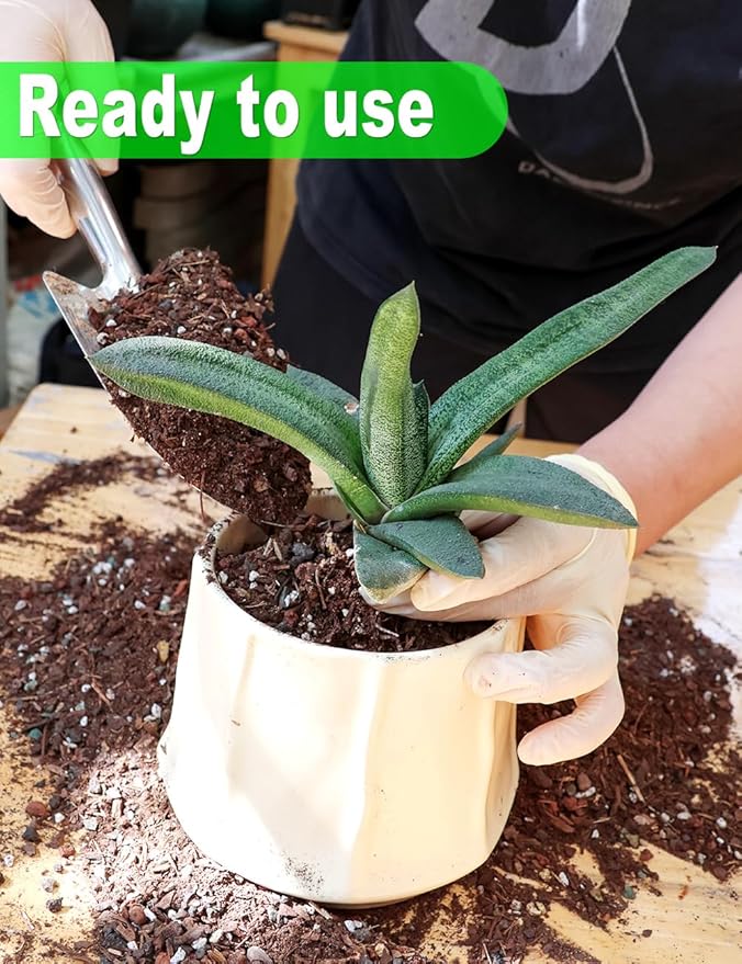 TOYPOPOR Succulent Soil, Cactus Potting Mix 7.5 Pounds/6QTS, High Drainage, Pre-Mixed Ready to Use for All Succulent Varieties, Indoor Plants, Bonsai, Terrarium, Houseplant, 30% Particles 70% Soil