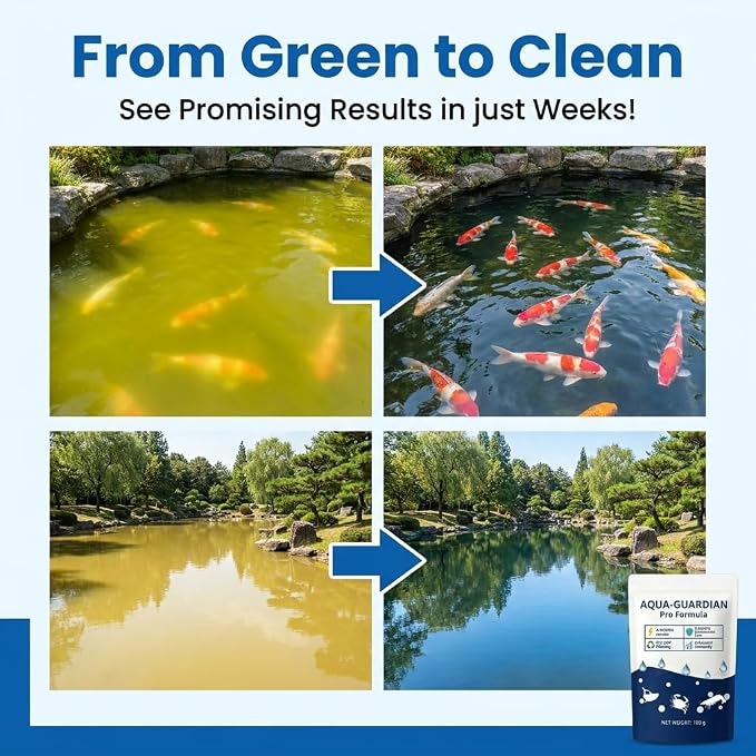 Aqua Guardian Pro Formula for Pond, Long-Lasting Clean Water, Easy to Use, Fish, Pets & Plants Safe (2 Packs, 100 g/Pack)