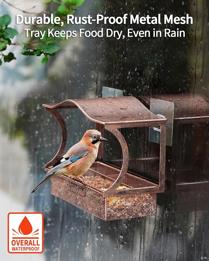 Window Bird Feeder, Metal - with Strong Suction Cups, Large Outdoor for Viewing Bird Watching Gift (Curved)