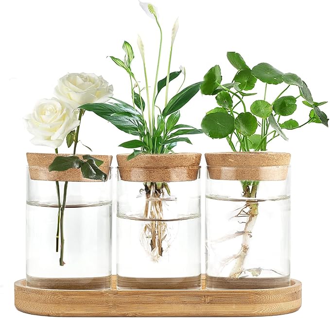Dahey 3 Pcs Metal Hanging Flower Pots and Plant Propagation Station for Indoor Plants Tabletop Home Office Garden Yard Decor