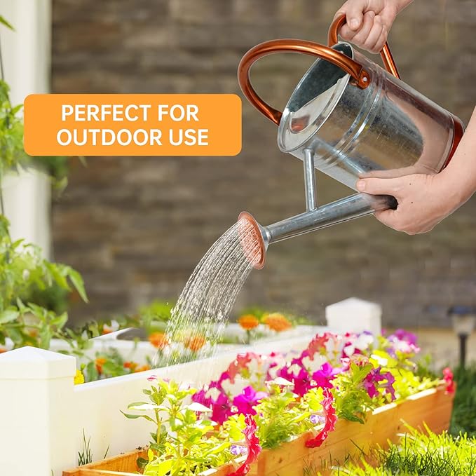 Metal Watering Can for Outdoor Plants, Galvanized Steel Watering Can with Removable spout, 1 Gallon,Perfect Home & Garden Décor Retro Zinc Hue
