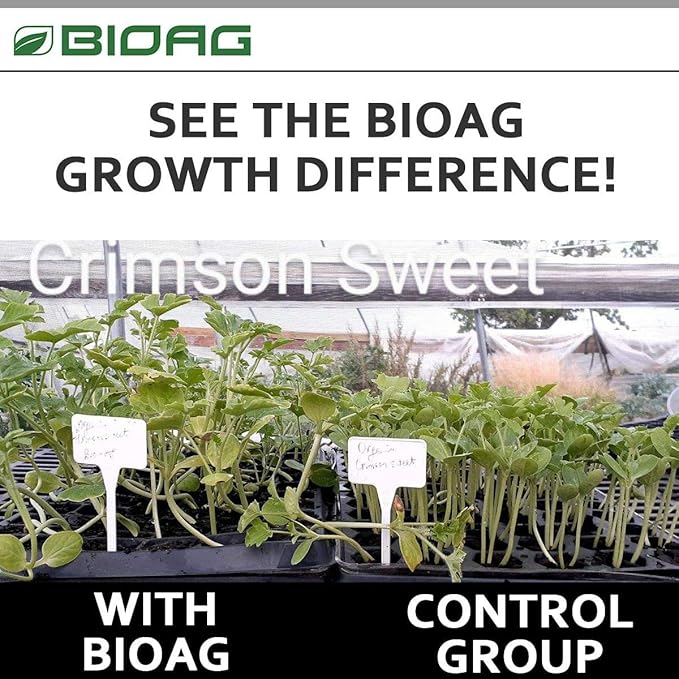 BioAg CytoPlus Organic Humic Acid Plus Seaweed Extract, Essential Micronutrients, Soil Amendment for All Plants, S B Co Cu Fe Mn Mo Zn (300 Grams) (BA76003)