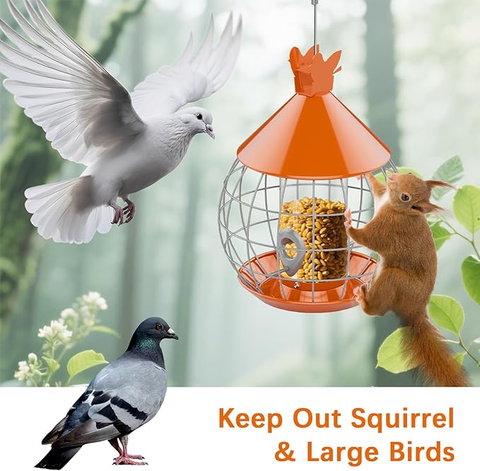 Caged Bird Feeder Squirrel Proof,Large Hanging Metal Bird Feeder for Outdoor,Easy to Fill & Detachable Cleaning,Attract Small Wildbirds,Wrens Finches Chickadee