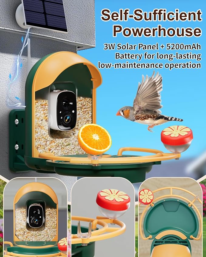 Bird Feeder with Camera, 2K HD Camera Birds Feeder with Bath Wireless Outdoor, Solar Powered Bird Watching with APP Control, Night Vision, Motion Detection Alerts, Birdfeeder for Backyard, Dark Green