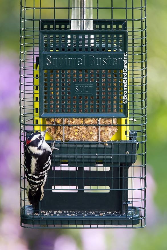 Squirrel Buster Suet Squirrel-Proof Suet Bird Feeder with Two Suet Cake Trays, Two Crumb Ports, Mess-Free Suet Loading, Durable Green Design for Clinging Birds