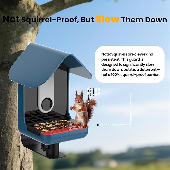 Metal Bird Seed Guard Designed for Birdbuddy Feeder - Chew-Proof Seed Tay for Tossing Protection, Weatherproof Grating Accessory for Outdoor, Black