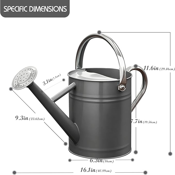 Metal Watering Can for Outdoor and Indoor Plants, Watering Can Decor, 1 Gallon (Gray)