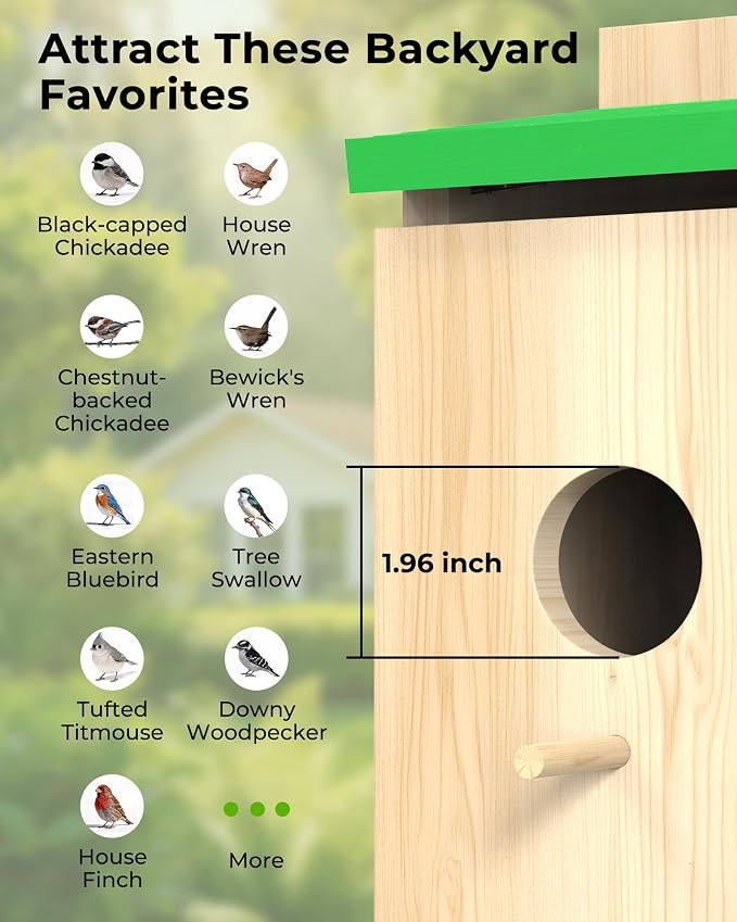 Bird House with Camera Solar Powered, Wi-Fi,Motion Detection & Night Vision,Pine Wood Birdhouse with Camera Inside,Ideal for Backyard & Nature Lovers(Light Green)