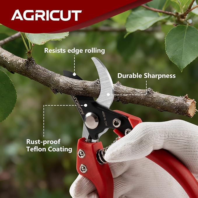 AGRICUT 7" Pruning Shears Heavy Duty Professional, Made of Japanese SK5 Steel Blades, 1 Cut Capacity, Bypass Hand Pruners Garden Clippers for Tree Flower Branch Trimming, S20P