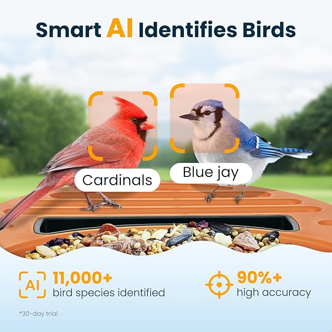 Smart Bird Feeder with Camera, 2.5K UHD Bird Feeder Camera Solar Powerd, Sensitive AI Identification, Instant Alerts Capture Video, IP66 Waterproof for Outdoor, Ideal Gift for Mom, Green