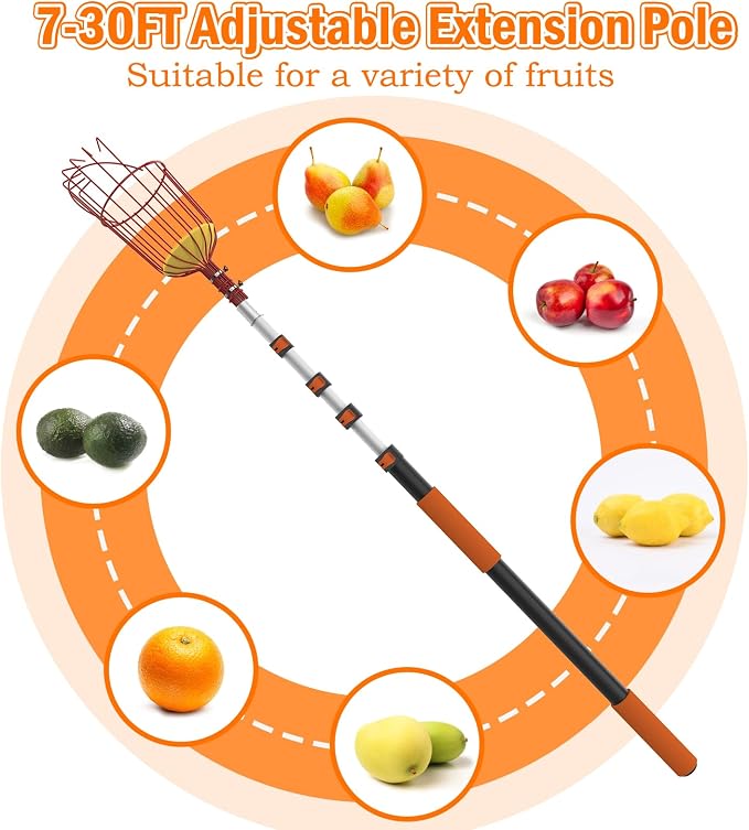 SISIUPASSIE 36FT Reach Fruit Picker, Apple Picker Pole with Basket Telescoping Tool for Apple Lemon Orange Mango Avocado Fruit Tree Picking