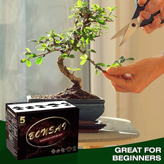 Meekear Bonsai Tree Kit with Complete Plant Growing Tools, Grow in Pot Indoor Bonsai Tree Starter Kit, Home Gardening DIY Gift for Adult