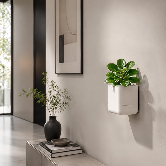 Phoenix Vine 4.5 Inch Wall Mounted Self-Watering Planter Pot for Indoor Houseplants and Herbs | Hanging Planter for Window Sills, Bathroom Walls, Home & Office Décor, Oatmeal, Set of 3, 01-B-G-3