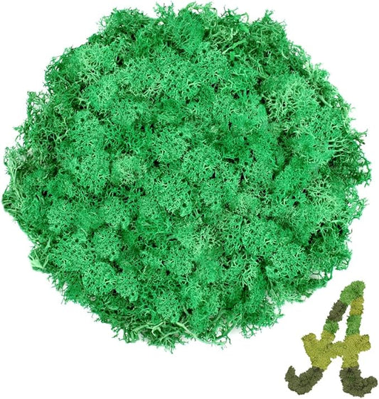 TCYPUHL Preserved Reindeer Moss 3.5 OZ Emerald Green Natural for Crafts, DIY Gift Christmas Decor, Wall Art, Potted Plants, Fake Moss for Easter Table Decor Wedding Decorative(3.5 OZ, Emerald Green)