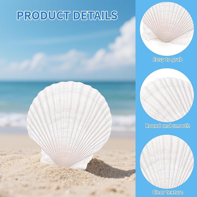 25PCS Large Scallop Shells for Crafts, 10PCS 4-5in & 15PCS 2-3in Natural Sea Shells for Painting, White Seashells Bulk for DIY Crafting, Decorating, Baking, Ocean Themed Party Supplies(2 Sizes Range)