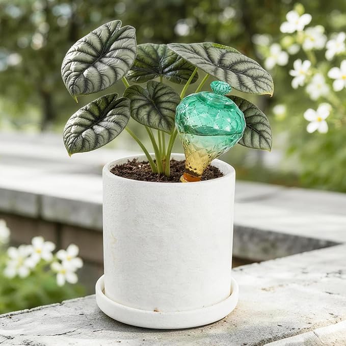 12 oz Plant Watering Globes, Green Glass Self Watering Bulbs Top Fill with Terracotta Spikes Stake, Self Watering Planter Insert Vacation Automatic Plant Waterer Device for Indoor & Outdoor