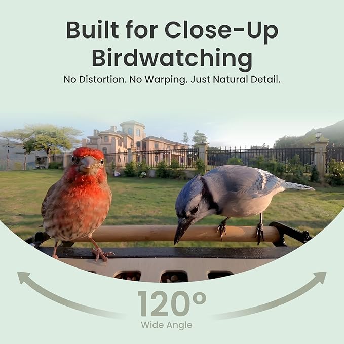 Birdfy Smart Bird Feeder with Camera, 4K UHD Video, Dual-Band 2.4/5GHz Wi-Fi, Solar Powered, AI Identification Lifetime Free, Bird Watching Gift for Bird Lovers