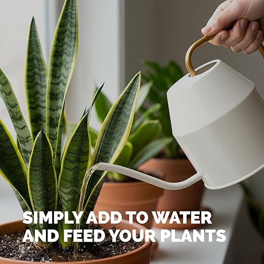 Indoor Plant Food – Liquid Fertilizer for Houseplants, New Growth, Greener Leaves, and Strong Roots, 32oz