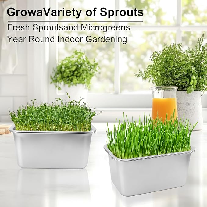 2 Set (4 Pack) Stainless Steel Sprouting Tray, 13 x 9 inches Stainless Steel Germination Trays for Indoor Microgreens, Broccoli Sprouts & Wheatgrass