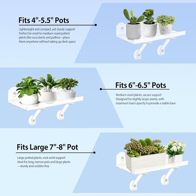 2 Pack 12 Inch Acrylic Window Boxes Plant Shelves, 6 Inch Extra-Wide Windowsill Extender – Features Suction Cups and Support Brackets for Succulents, Herbs, Seed Starting | Indoor/Outdoor Use