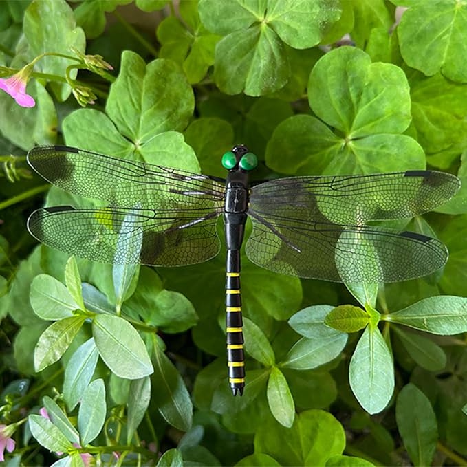 10 Pcs Black 3D Lifelike Dragonfly Clip & Garden Stake, Upgraded Detachable Fake Dragonfly Decor with Flexible PVC Wings, Nature-Inspired Outdoor Comfort Accessory for Hiking Hat, Camping and Patio