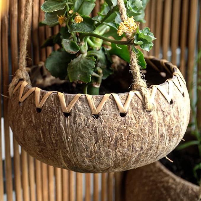 Rainforest Bowls Set of 4 Hanging Fiber Coconut Planters w/Drainage Hole- Perfect for Succulents, Flowers, Small Plants, Indoor & Outdoor Gardens- Handcarved by Artisans, Eco-Friendly & Sustainable