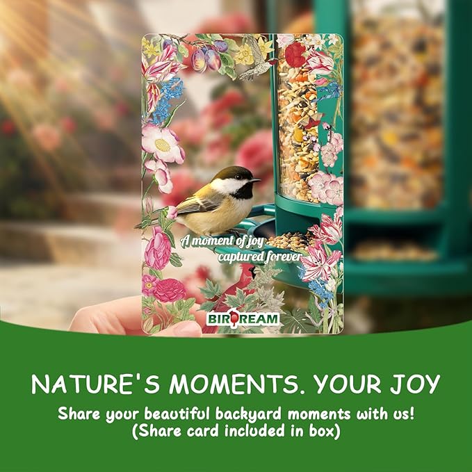 Birdream Bird Feeders for Outdoor Hanging, Assembly Required, 1-Min Easy Setup, Charming Castle Design, Attracting Cardinals Chickadees Goldfinches & Sparrows - Green