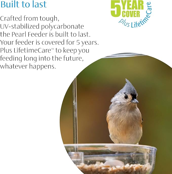 Bluebird Mealworm Feeder - Jacobi Jayne® Pearl Feeder Mini™ - Domed Small Bluebird Feeder - Live Mealworm Feeder Hanging for Outdoors and Backyards