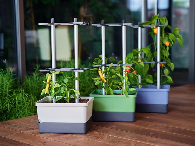BUZZY Seeds Charly Chili Self-Watering Planter with Vertical Trellis – 1.2 Gal Reservoir, Large Capacity Planter for Chili Peppers, Bell Peppers & Eggplants (Grey)