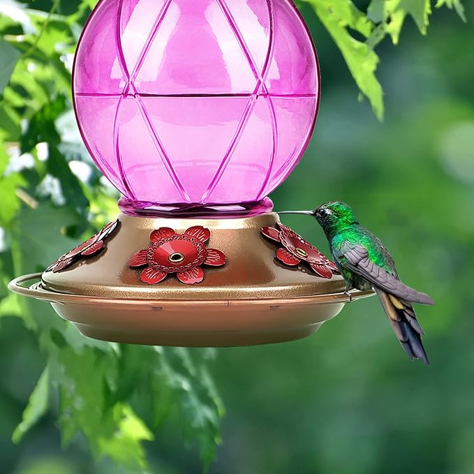 BOLITE Hummingbird Feeder, Glass Hummingbird Feeders for Outdoors Hanging, Five Feeding Ports, 20 Ounces, 2 Pack, Red and Purple, Birthday Gifts for Women Men, Gifts for Mom Dad