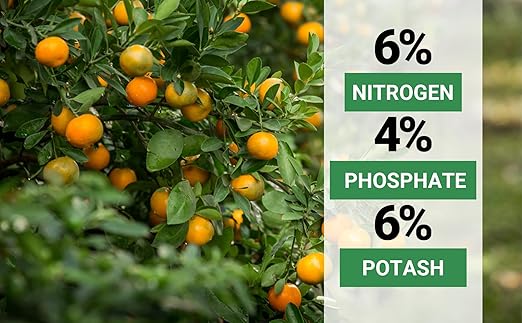 Gardenwise 6-4-6 Avocado, Mango Citrus Tree Professional Fertilizer, Plant Food Outdoor/Indoor Gardening; Quick-Release Nitrogen Fertilizer; Orange, Lime, Avocado and Lemon Tree Fertilizer (1/2 QUART)