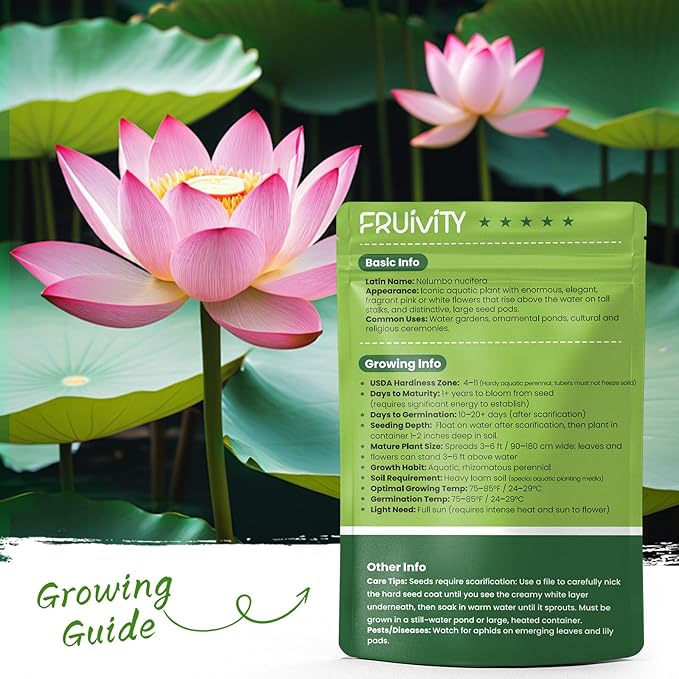 30 PCS Lotus Seeds for Planting in Water - Mixed Color Bowl Lotus Seeds, Non-GMO Aquatic Plant Water Lily Seeds for Indoor Bonsai, Outdoor Ponds & Garden
