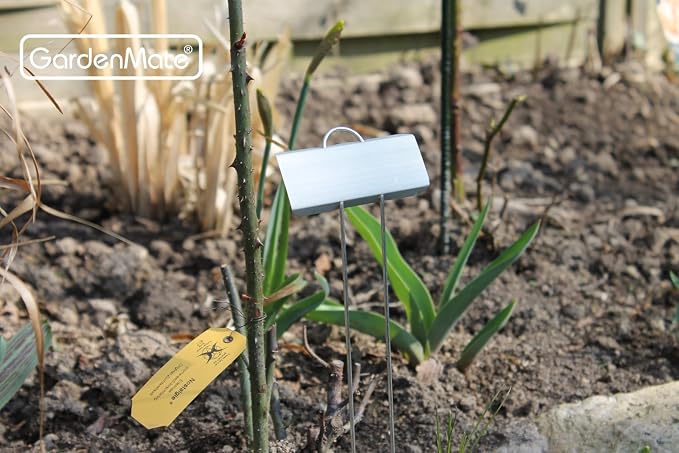 GardenMate 100-Pack Weatherproof Large Zinc Metal Plant Labels, Height 11.5", Label Area 3 1/2 x 1 1/4"