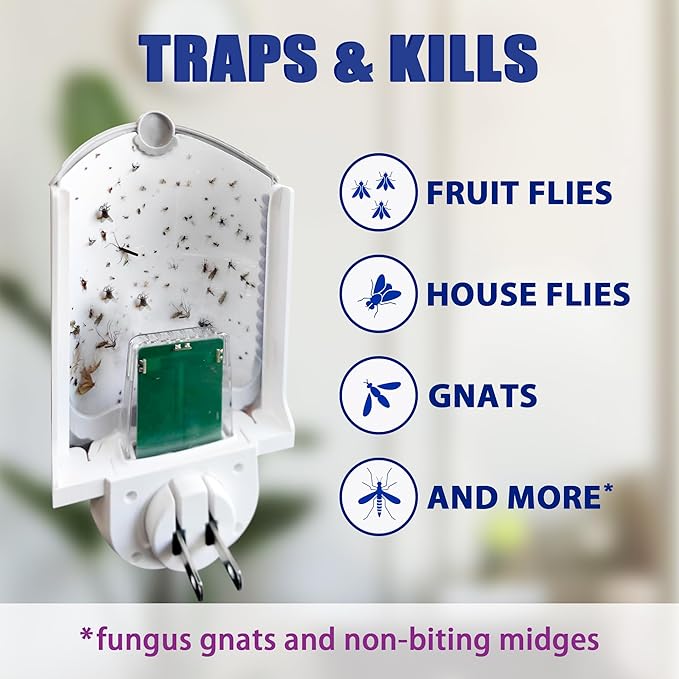 Flying Insect Trap for Indoor Use (2 Staters & 6 Refill Cartridges), UV Light Bug Catcher for Fruit Flies, Gnats & Small Flying Pests, Silent, No-Zap, Mess-Free