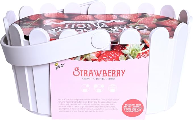 BUZZY Seeds Strawberry Grow Kit Large White Picket Fence Berry Basket with Grandian Strawberry Seeds, Indoor Plant Starter Kit, DIY Home Project Gardening Gift