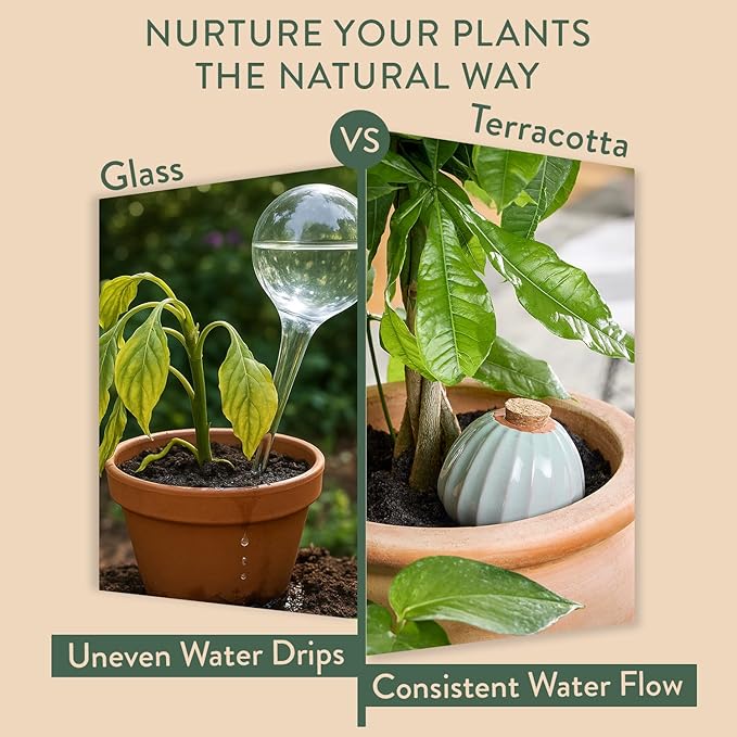 Modern Sprout Terracotta Self Watering Bulbs for Indoor Plants, 10oz Plant Watering Globes 3 Pack, Glazed Finish with Cork Top - Plum, Sage & Mustard, Decorative Plant Accessories Gift for Mom,Grandma