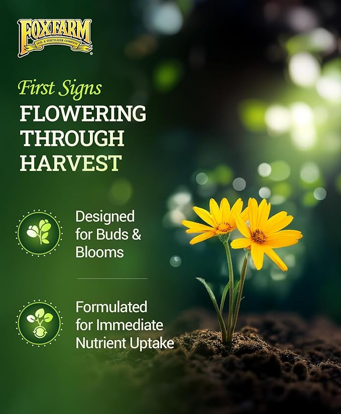 FoxFarm Tiger Bloom Liquid Plant Food - Phosphorus Fertilizer for Buds, Blooms & Flowering - Supports Soil & Hydroponic Systems - High Micronutrient Formula with 2-8-4 Nutrient Ratio - 2.5 Gallons