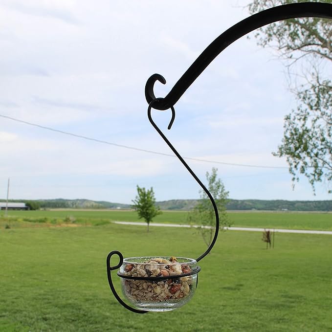 Clear Glass Hanging Bird Feeder - Removable Bowl for Mealworms, Jelly, Nectar, Seed & Fruit - Decorative Wire Hook - Versatile Outdoor Treat Feeder for Bluebirds, Orioles & More