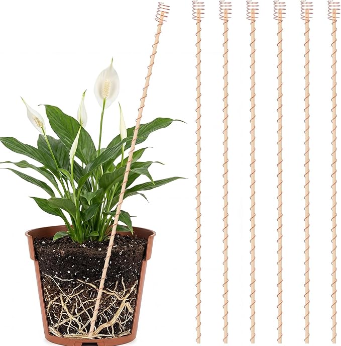 Pelopy 6 Pcs 24'' Large Electroculture Plant Stakes Copper Coil Plant Stakes for Garden Wire Antennas Garden Tensor Rings Kit Electronic Planting for Growing Vegetable Plants Support