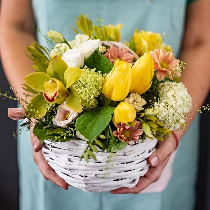 4 Sets Floral Foam Round, 7.48x3.74inch Floral Dry Round Flower Foam Half Ball with Bowl for Artificial Plant Arrangement and Wedding and Garden Decorations
