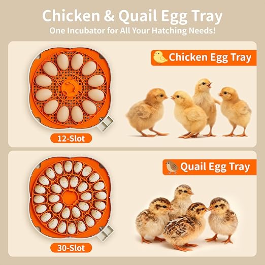APDOE Egg Incubators for Hatching Eggs, Temperature and Humidity Control, Automatic Egg Turning, Egg Candler, External Water Bottle, Air Vent, for Chicken, Duck & Quail Eggs, 12 Eggs + 30 Quail Eggs