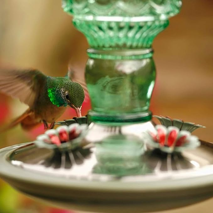 Perky-Pet Glass Bottle Hummingbird Feeder - Outdoor Garden Décor Humming Bird Feeder,8108-1SR - 10 Fl Oz Nectar Capacity - Durable Green Antique Design - Hang from Tree,Porch,Deck,Hook,(Pack of 6)