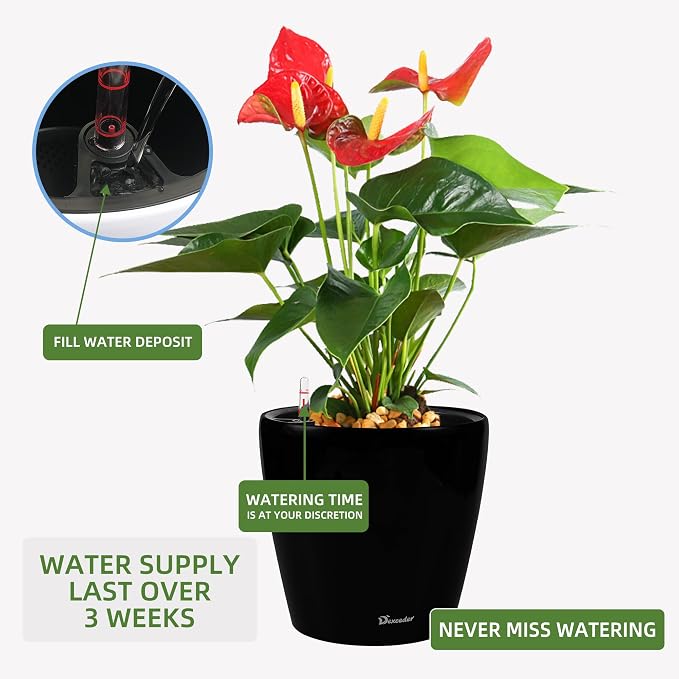 Dexceder 13x12 Self Watering Planter with Wheels (Black Matte) | Inner Pot Design, Thickened Large Floor Standing Flower Plant Pot with Water Level Indicator Indoor Outdoor