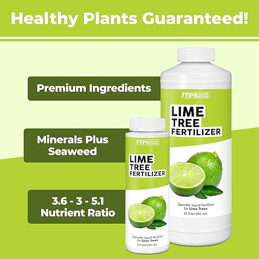 Lime Tree Fertilizer – Liquid Plant Food for More Fruit, Better Flowering & Stronger Root Development, 1 Gallon