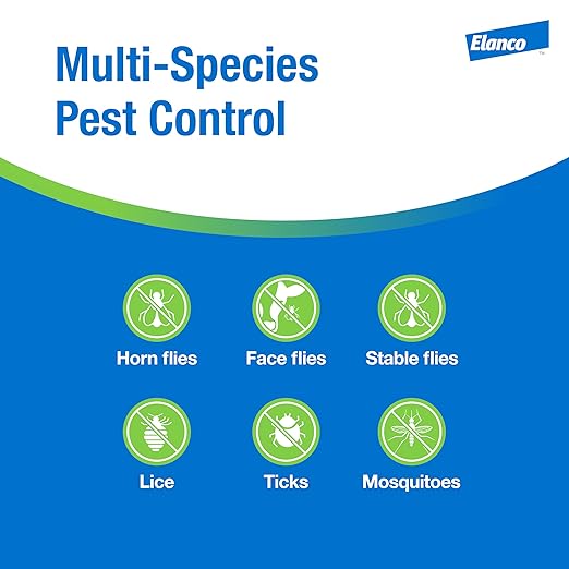 Permectrin CDS Pour-on Insecticide Pour-On & Premise Spray | Controls Flies, Lice & Ticks | 1 Pint Bottle