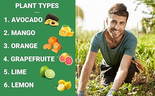 GARDENWISE Avocado & Citrus Tree Fertilizer for Indoor & Outdoor Plants | Quick-Release Nitrogen - Citrus Fertilizer (3 Quarts)