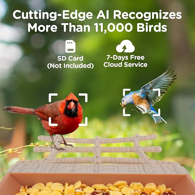 Bird Feeder with Camera Solar Powered, Smart Birds Feeder for Outside, AI Bird Identification Auto Capture Videos Pictures, 2K Live Feed Cam for Backyard, Ideal Gift for Birds Lover (Brown)