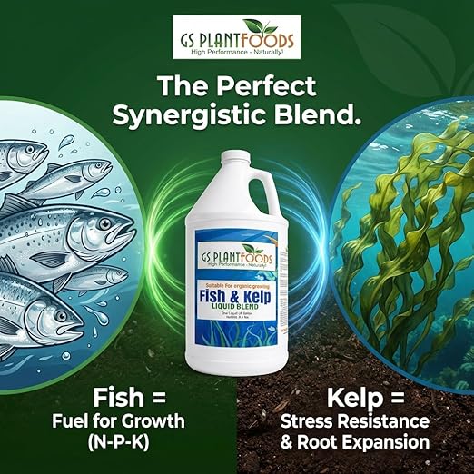 GS Plant Foods Liquid Fish & Kelp Fertilizer (55 Gallons) – Organic Material Review Institute Listed Natural Plant Food for Home Gardens, and Vegetables