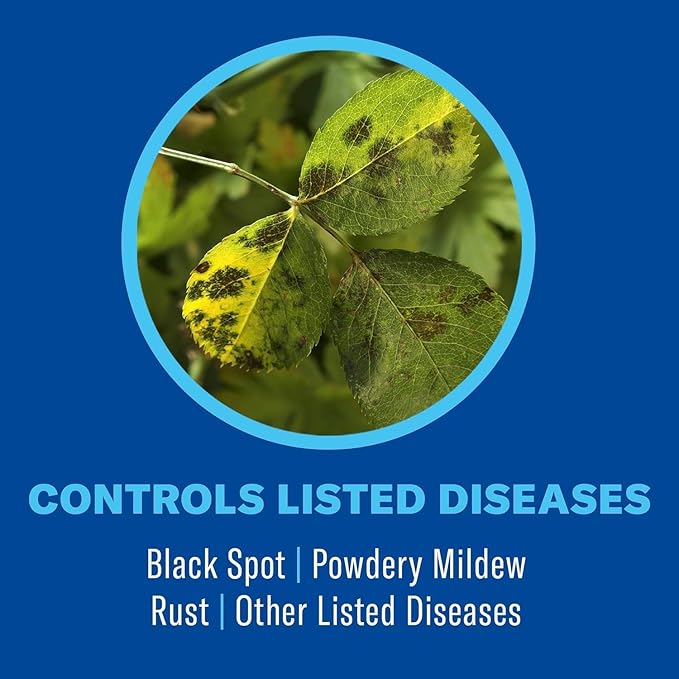 BioAdvanced 3-in-1 Insect, Disease, and Plant Mite Control Spray - Insecticide, Fungicide & Miticide - Ready-to-Use - Prevents Pests and Diseases - Up to 14 Days Protection - 24 fl oz Bottle