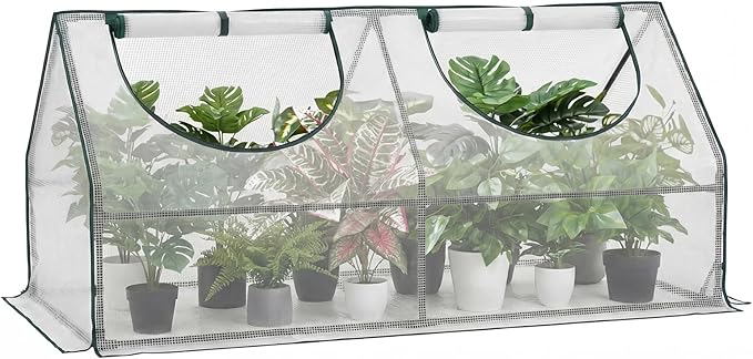 Gentingbro 71“Lx36 Wx34 H Mini Greenhouses Outdoors with Zippered Doors & Roll-up Windows Portable Quick-Setup Small Green House Waterproof UV Protected PE Cover Shelter for Garden Plants